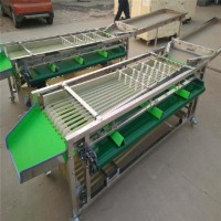 Машини для сортування/калібрування овочів та фруктів STvega Sorting H2000