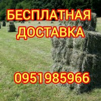 Сено люцерны, луговое сено, солома с доставкой по Украине. Качество. Есть б.н. расчёт