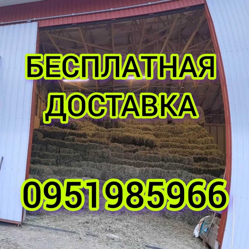 Фото 2. Сено люцерны, луговое сено, солома с доставкой по Украине. Качество. Есть б.н. расчёт