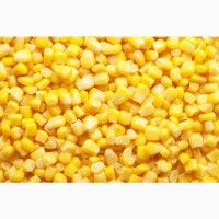 Кукуруза нового урожая 2020 года! Закупаем оптом