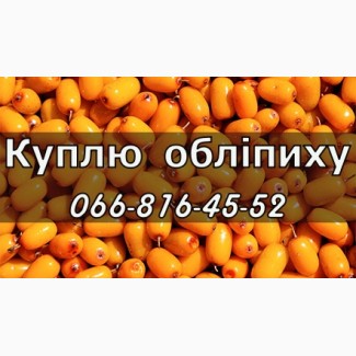 Пємство у необмеженій кількості купить обліпиху