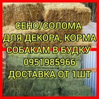 СЕНО в тюках: луговое, люцерна. Солома из зерновых с бесплатной доставкой по Украине. Б.н