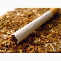 Продам курительный фабричный табак-Берил Вирджиния Махорка!без пыли и мусора