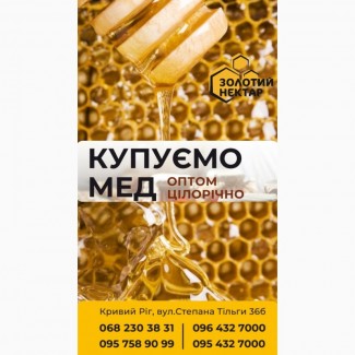 Купуємо Гречаний мед 70 грн/кг