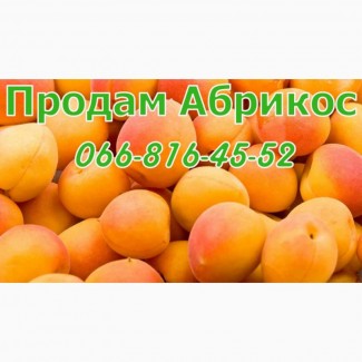 Продам свіжий та заморожений абрикос