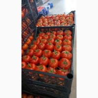 Оптовая продажа овощей из Турции