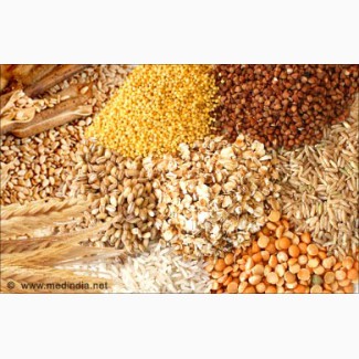ОПТ ЗАКУПКА. Пшеница, кукуруза, ячмень, соя и др