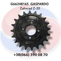 Зубчасте колесо Z-20 G66248165 Gaspardo