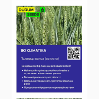 Насіння пшениці - BG Klimatika (пшениця м#039; яка озима) Оригінатор Biogranum, Сербія