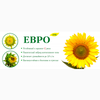 Насіння гібридів соняшнику ЕВРО (толерантний до евро-лайтінгу) 2019 року урожаю