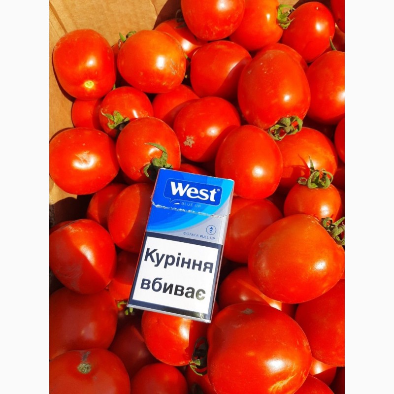Фото 6. Продам помидоры. От поставщиков и производителей