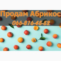 Підприємство реалізує заморожений абрикос власної заготовки