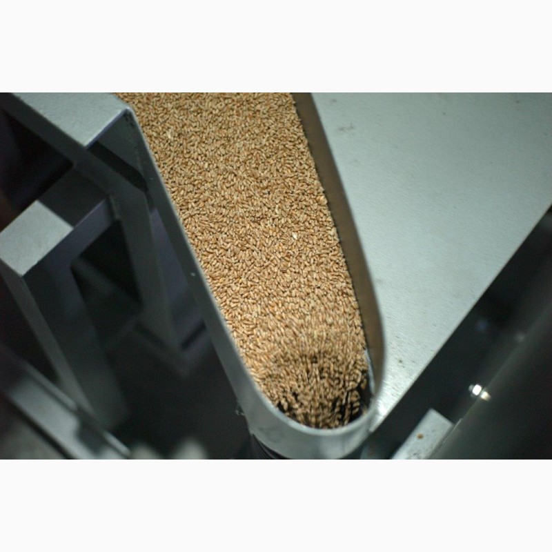 Фото 8. Органическая Пшеница оптом на паллете, 750кг, сертифицирована
