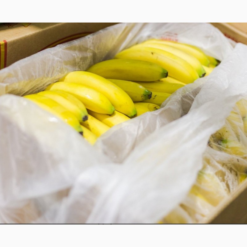 Фото 3. Банан Желтый, Зеленый - Африка, Крупный Опт от 1тн и более 22тн - высшее качество, г. Киев