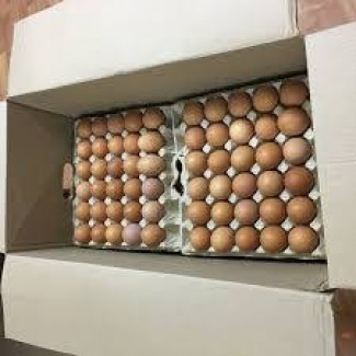 Оптовая реализация яйцо куриное