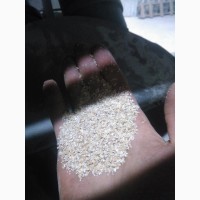 Продам отруби пшеничные