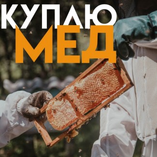 Куплю мед від 300 кг Черкаська область