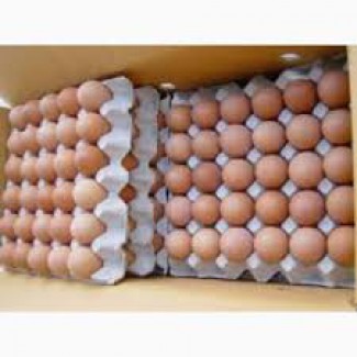 Оптовая продажа реализация яйцо куриное