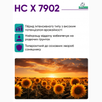 Насіння соняшнику гібрид НС Х 7902 під гранстар (соняшник НС Х 7902 )