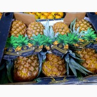 Продам ананас
