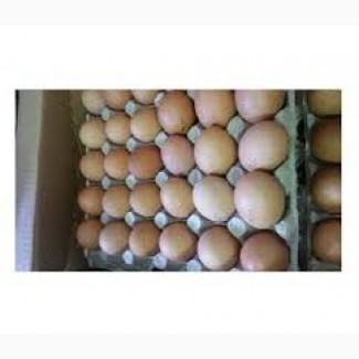 Оптовая продажа реализация доставка куриное яйцо