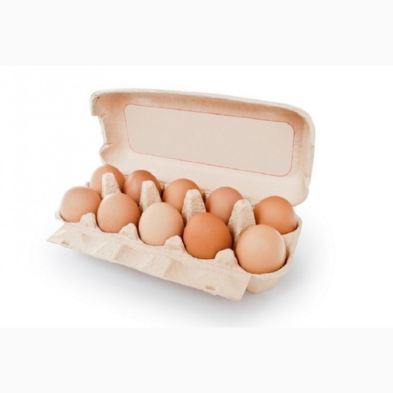 Купить яйца в белоруссии. Яйца категории с0 лоток. Упаковка для яиц. Яйцо куриное со 10 шт. Десяток яиц.