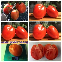 Семена томатов всех видов