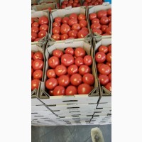 Куплю помидоры
