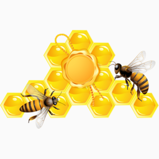 Продам бджолопакети (750), бджолосім#039;ї (договірна)