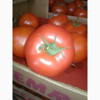 Турецкие помидоры. Дешево