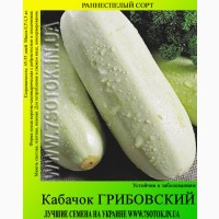 Семена кабачка Грибовский, высокая всхожесть