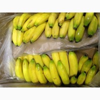 Продам бананы свежие Эквадор