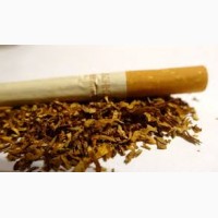Продам табак махорка верджиния берлі без центральної жилки