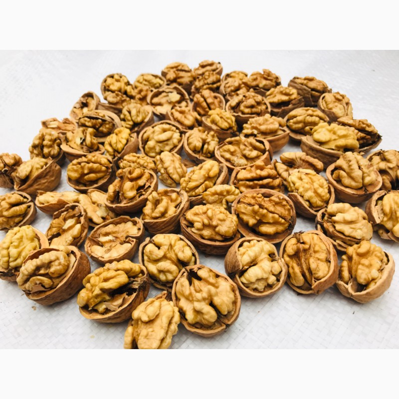 Фото 4. Продаем грецкий орех (Wallnuts in shell) и ядро грецкого ореха