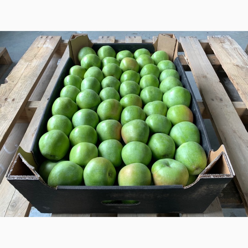 Фото 9. Качественные яблоки оптом от производителя