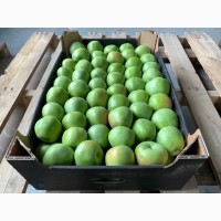 Качественные яблоки оптом от производителя