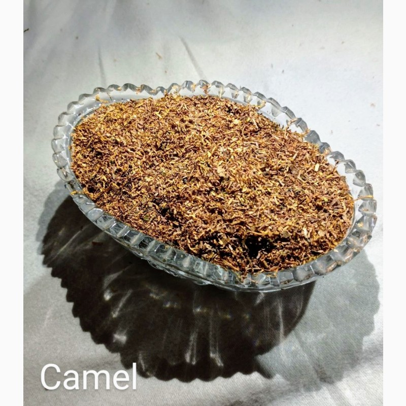 Фото 3. Winston, Camel, ВИРДЖИНИЯ, Імпортний фабричний табак високого качества