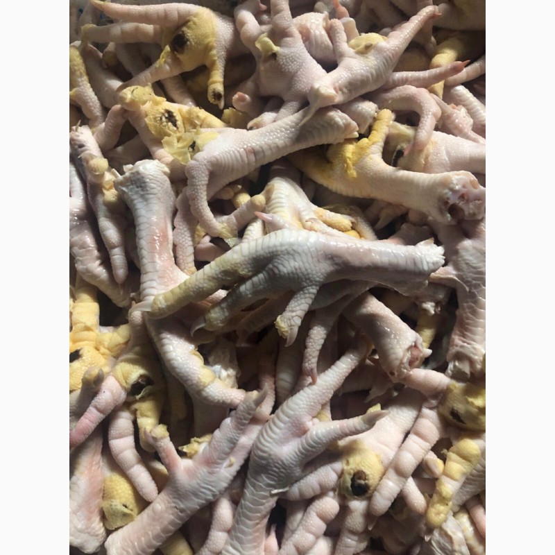 Фото 2. Продам куриные лапы от производителя в Волынской области с 3 тонн. По Украине