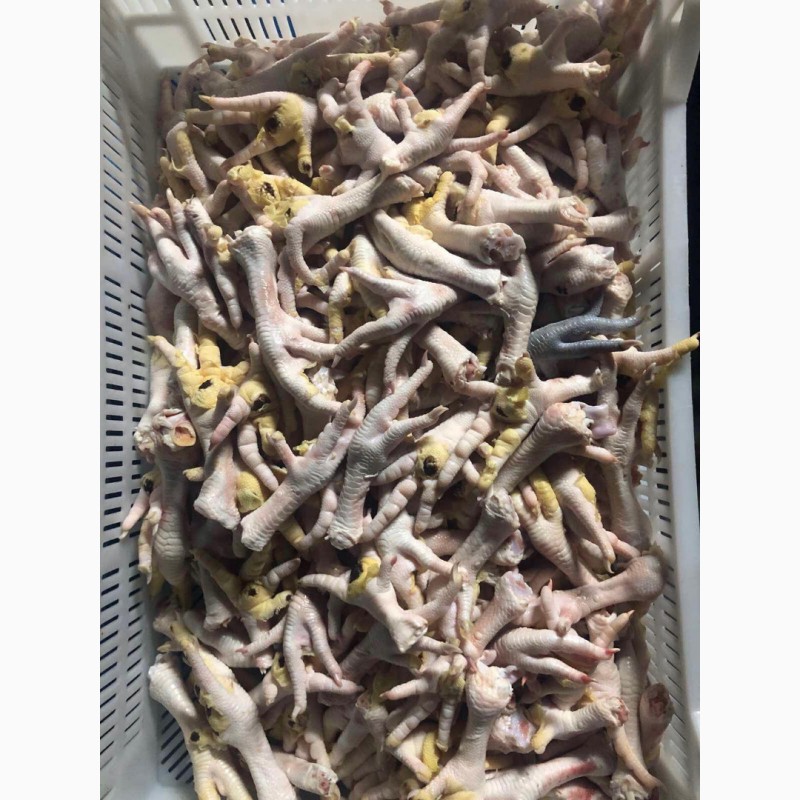 Фото 3. Продам куриные лапы от производителя в Волынской области с 3 тонн. По Украине