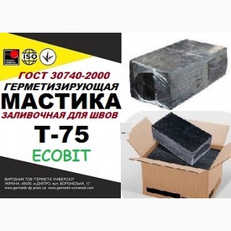 Мастика Т-75 Ecobit дорожная ГОСТ 30740-2000 ( ДСТУ Б В.2.7-116-2002)