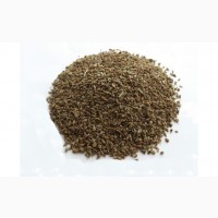 Анис обыкновенный (плоды, семена) фасовка от 100 грамм - 1 кг