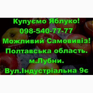 На постійній основі закуповуємо яблуко врожаю 2024року