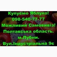 На постійній основі закуповуємо яблуко врожаю 2024року