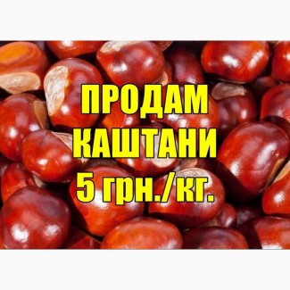 Продам каштани