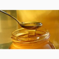 Куплю мед разнотравья урожая 2021 года