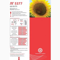 Насіння соняшника ЛГ 5377 ( LG 5377)