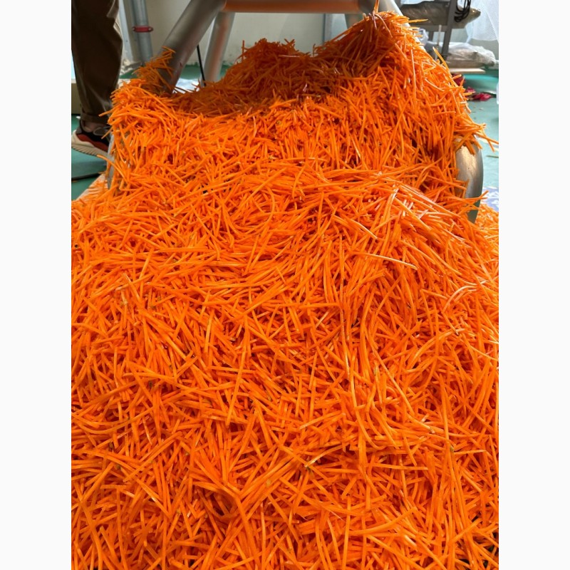 Фото 11. Промислова овочерізка для нарізки корейської моркви STvega Strip Slicer H3000