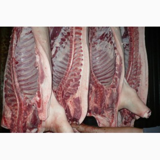 Мясо свинины Одесса заказ