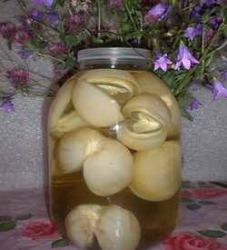 Фото 3. Березовый гриб чага, гриб веселка, сосновые шишки от инсульта