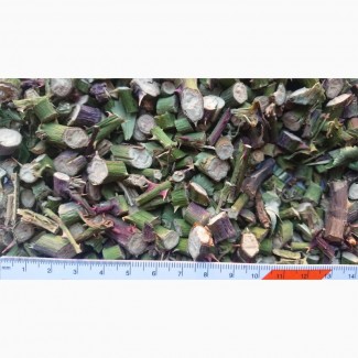 Листья ежевики сушеные (чай ежевичный)